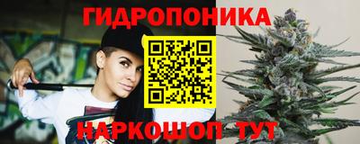 МДМА Можга