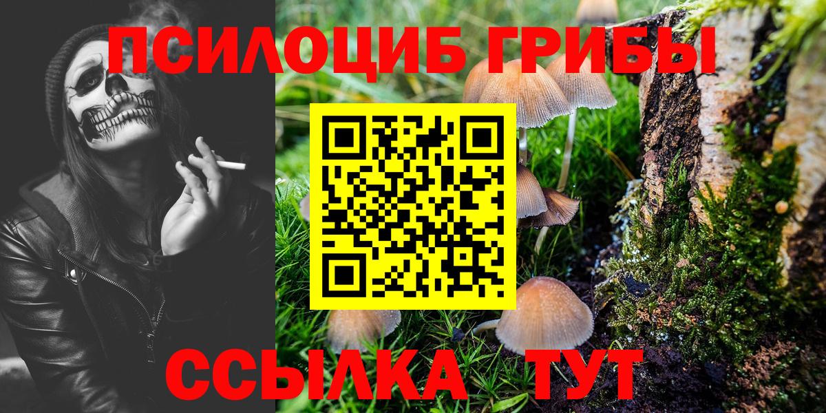Псилоцибиновые грибы Psilocybe  Вход с VPN  Тула  Галлюциногенные грибы GOLDEN TEACHER 